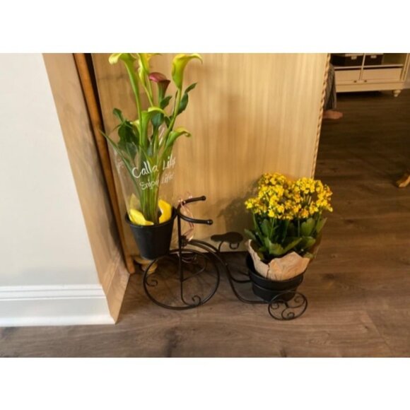 Metal Standing Planter Hand Painted Flower Holder Tricycle Plant Stand - Picture 1 of 2